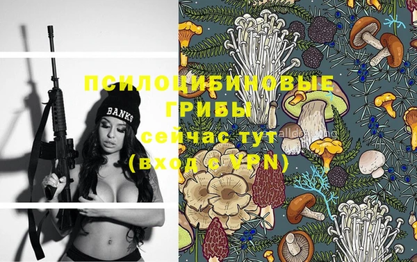 кокс Вяземский