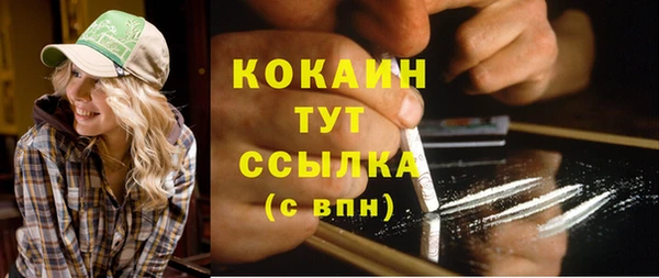 не бодяженный Гусев