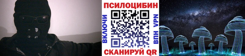 Купить  Оха  Галлюциногенные грибы Cubensis 